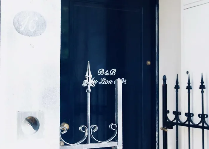 Pet Friendly hotel: B&B Au Lion D'Or