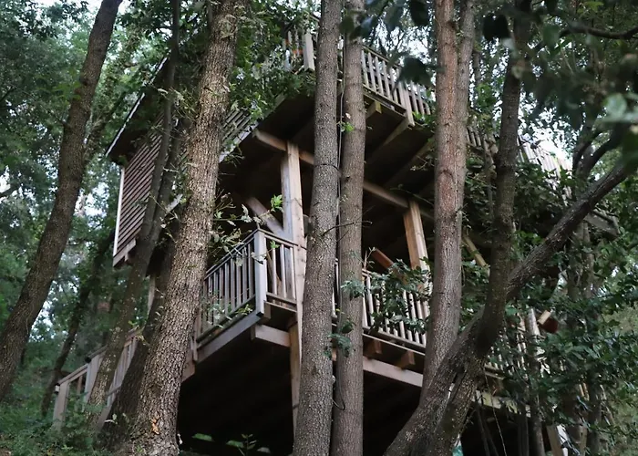 Orion Treehouses