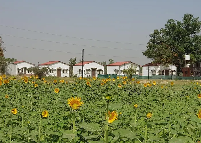 Hotels with a view Living Green Farms